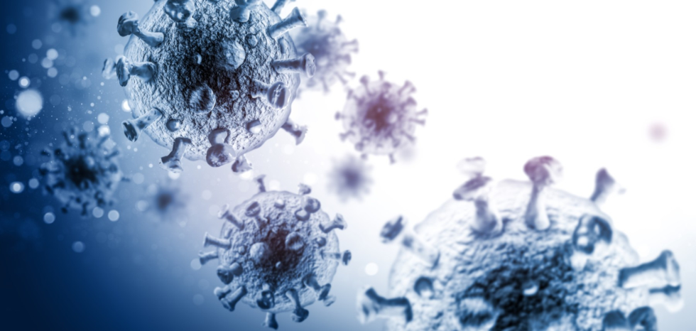 La vaccinazione degli anziani nelle strutture marchigiane va troppo a rilento, serve un cambio di passo. Appello agli operatori: vaccinatevi!