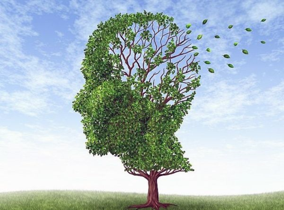 21 settembre: Giornata Mondiale dell'Alzheimer 