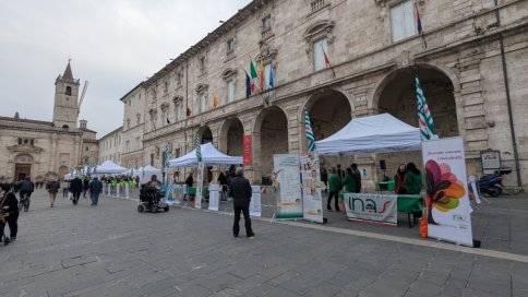 imm_9207_pxl_20241110_094157831.jpg