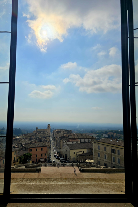 imm_2688_2476b06b-9e48-4986-84c7-46e6ae5692d3.jpg